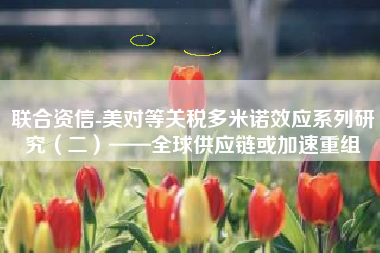 联合资信-美对等关税多米诺效应系列研究（二）——全球供应链或加速重组