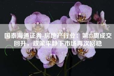 国泰海通证券-房地产行业：第33周成交回升，政策平静下市场再次回稳