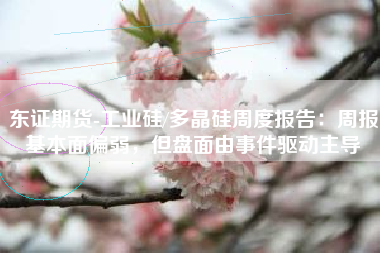 东证期货-工业硅/多晶硅周度报告：周报基本面偏弱，但盘面由事件驱动主导