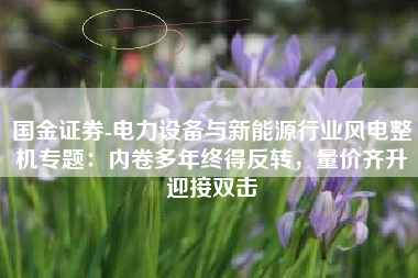 国金证券-电力设备与新能源行业风电整机专题：内卷多年终得反转，量价齐升迎接双击