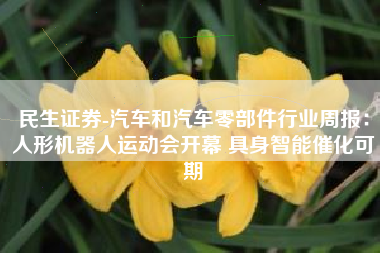 民生证券-汽车和汽车零部件行业周报：人形机器人运动会开幕 具身智能催化可期