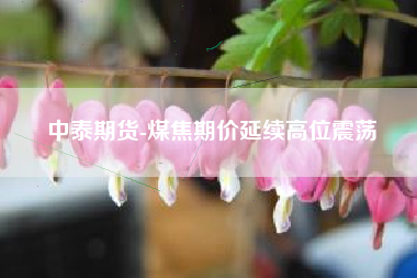 中泰期货-煤焦期价延续高位震荡