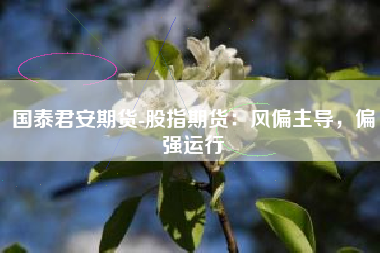 国泰君安期货-股指期货：风偏主导，偏强运行