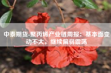 中泰期货-聚丙烯产业链周报：基本面变动不大，继续偏弱震荡