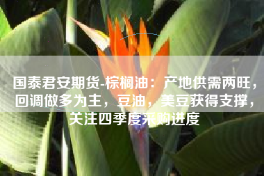 国泰君安期货-棕榈油：产地供需两旺，回调做多为主，豆油，美豆获得支撑，关注四季度采购进度