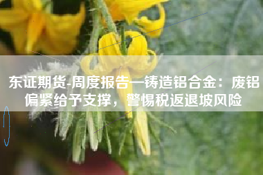 东证期货-周度报告—铸造铝合金：废铝偏紧给予支撑，警惕税返退坡风险