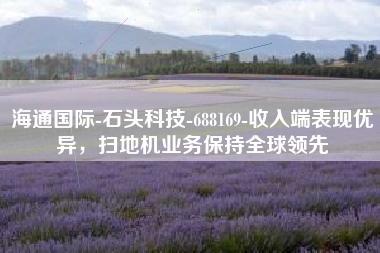 海通国际-石头科技-688169-收入端表现优异，扫地机业务保持全球领先