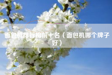 面包机排行榜前十名（面包机哪个牌子好）