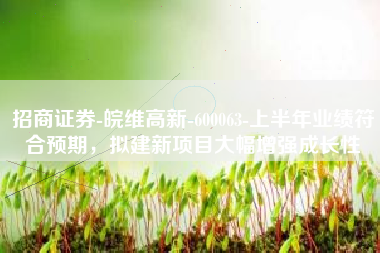 招商证券-皖维高新-600063-上半年业绩符合预期，拟建新项目大幅增强成长性