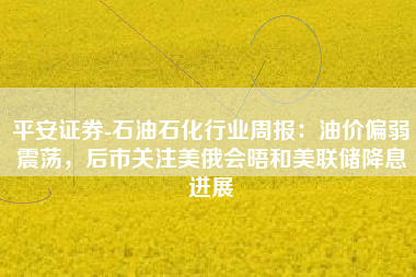 平安证券-石油石化行业周报：油价偏弱震荡，后市关注美俄会晤和美联储降息进展