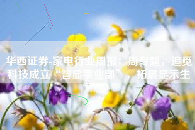 华西证券-家电行业周报：周专题，追觅科技成立“智显事业部”，拓展显示生态