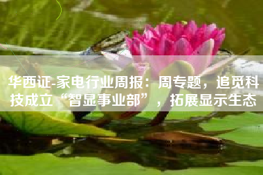 华西证-家电行业周报：周专题，追觅科技成立“智显事业部”，拓展显示生态