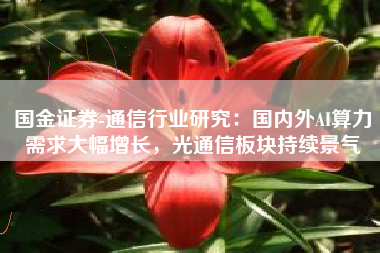 国金证券-通信行业研究：国内外AI算力需求大幅增长，光通信板块持续景气