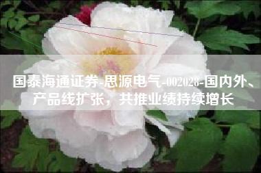 国泰海通证券-思源电气-002028-国内外、产品线扩张，共推业绩持续增长