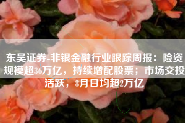 东吴证券-非银金融行业跟踪周报：险资规模超36万亿，持续增配股票；市场交投活跃，8月日均超2万亿