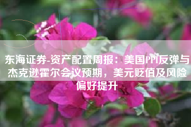 东海证券-资产配置周报：美国PPI反弹与杰克逊霍尔会议预期，美元贬值及风险偏好提升