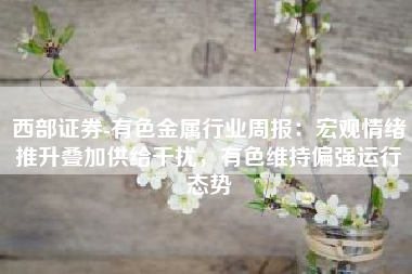 西部证券-有色金属行业周报：宏观情绪推升叠加供给干扰，有色维持偏强运行态势