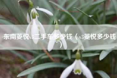 东南菱悦v3二手车多少钱（v3菱悦多少钱）