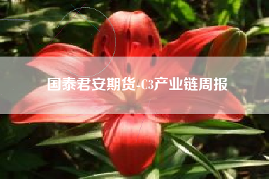国泰君安期货-C3产业链周报