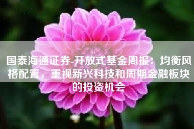 国泰海通证券-开放式基金周报：均衡风格配置，重视新兴科技和周期金融板块的投资机会