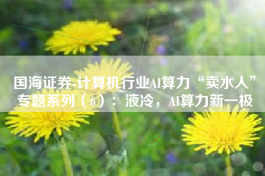 国海证券-计算机行业AI算力“卖水人”专题系列（6）：液冷，AI算力新一极