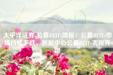 太平洋证券-公募REITs周报：公募REITs市场持续下跌，数据中心公募REITs表现亮眼