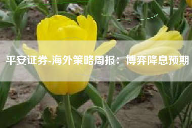 平安证券-海外策略周报：博弈降息预期