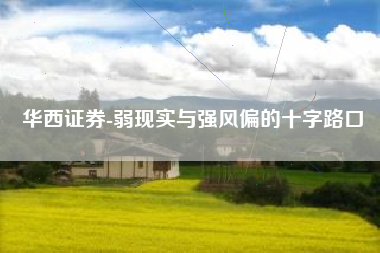 华西证券-弱现实与强风偏的十字路口