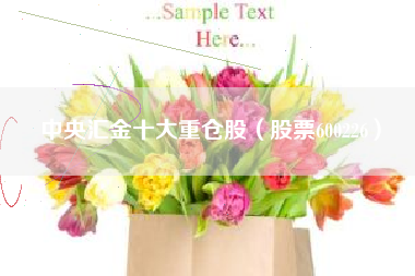 中央汇金十大重仓股（股票600226）
