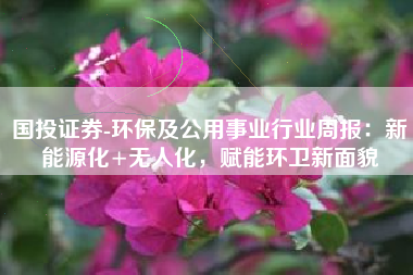 国投证券-环保及公用事业行业周报：新能源化+无人化，赋能环卫新面貌