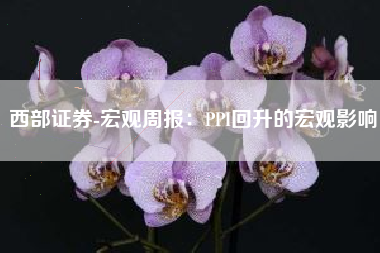 西部证券-宏观周报：PPI回升的宏观影响