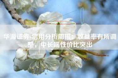 华源证券-信用分析周报：收益率有所调整，中长端性价比突出