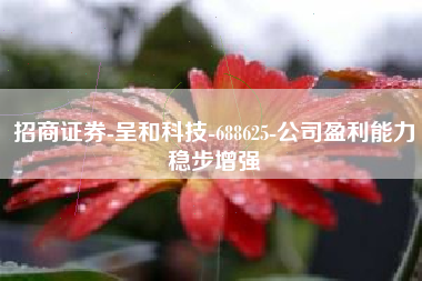 招商证券-呈和科技-688625-公司盈利能力稳步增强