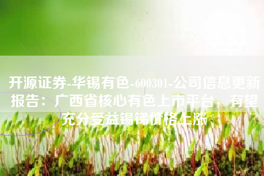 开源证券-华锡有色-600301-公司信息更新报告：广西省核心有色上市平台，有望充分受益锡锑价格上涨