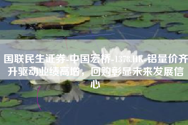 国联民生证券-中国宏桥-1378.HK-铝量价齐升驱动业绩高增，回购彰显未来发展信心