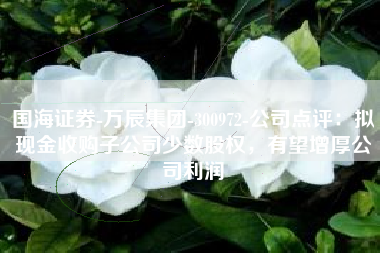 国海证券-万辰集团-300972-公司点评：拟现金收购子公司少数股权，有望增厚公司利润