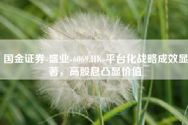 国金证券-盛业-6069.HK-平台化战略成效显著，高股息凸显价值