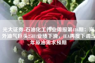 光大证券-石油化工行业周报第416期：海外油气巨头25H1业绩下滑，IEA再度下调25年原油需求预期
