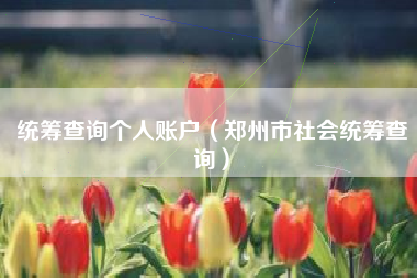 统筹查询个人账户（郑州市社会统筹查询）