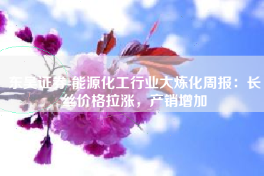 东吴证券-能源化工行业大炼化周报：长丝价格拉涨，产销增加