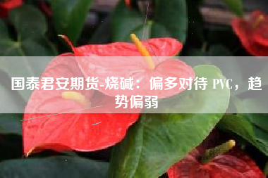 国泰君安期货-烧碱：偏多对待 PVC，趋势偏弱