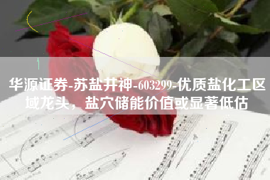 华源证券-苏盐井神-603299-优质盐化工区域龙头，盐穴储能价值或显著低估