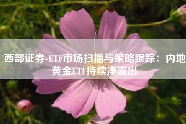 西部证券-ETF市场扫描与策略跟踪：内地黄金ETF持续净流出