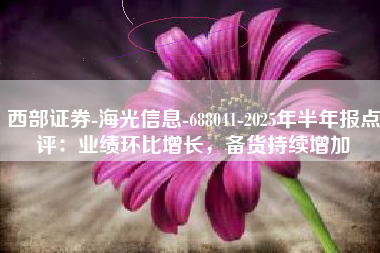 西部证券-海光信息-688041-2025年半年报点评：业绩环比增长，备货持续增加