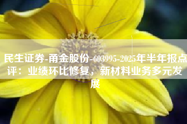 民生证券-甬金股份-603995-2025年半年报点评：业绩环比修复，新材料业务多元发展