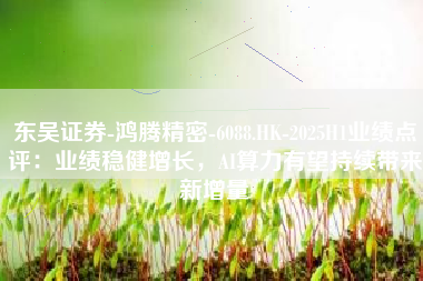 东吴证券-鸿腾精密-6088.HK-2025H1业绩点评：业绩稳健增长，AI算力有望持续带来新增量