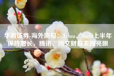 华西证券-海外周报：Temu、Shein上半年保持增长，腾讯、阅文财报表现亮眼