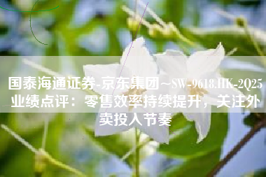 国泰海通证券-京东集团~SW-9618.HK-2Q25业绩点评：零售效率持续提升，关注外卖投入节奏