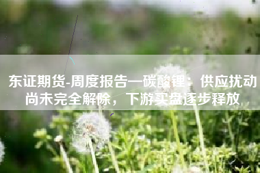 东证期货-周度报告—碳酸锂：供应扰动尚未完全解除，下游买盘逐步释放