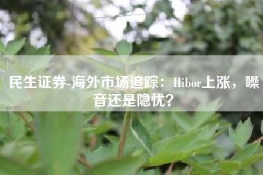 民生证券-海外市场追踪：Hibor上涨，噪音还是隐忧？